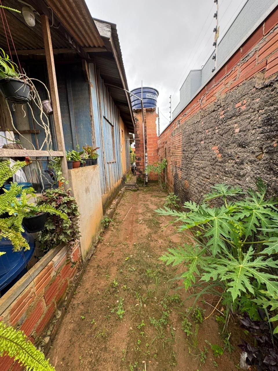 Terreno 12,5 x 27 m – Ótima Localização — foto 3